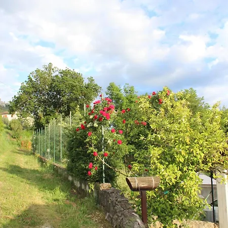 Lägenhet Da Laura *